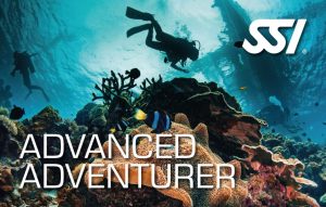 Tortuga Diving Vera Playa Advanced Adventurer