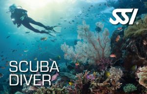 Tortuga Diving Vera Playa Scuba Diver