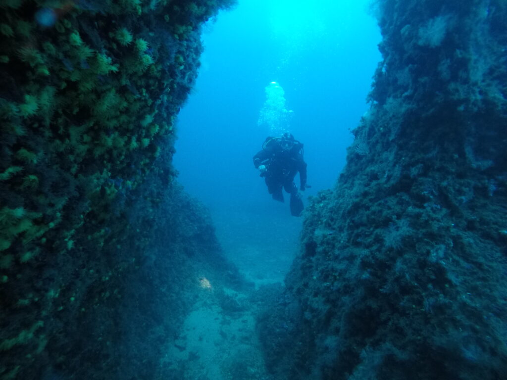 Tortuga Diving Vera Playa