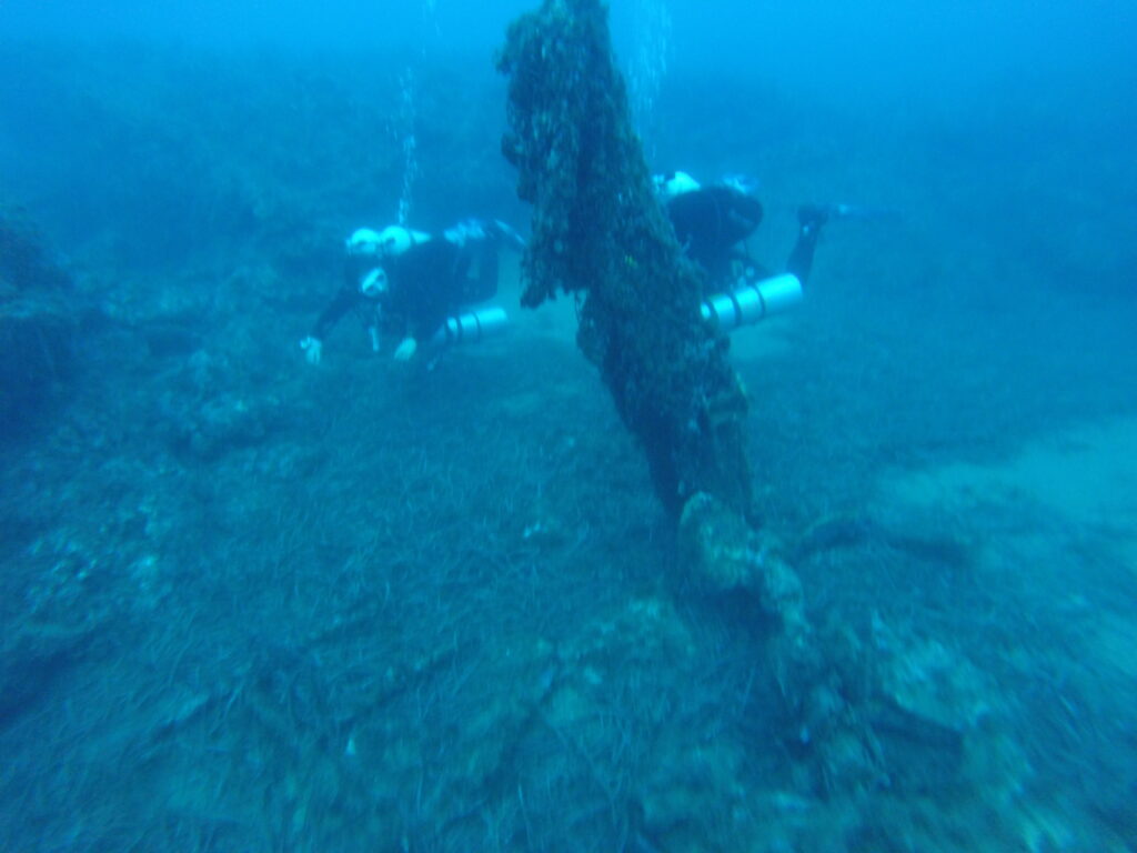 Tortuga Diving Vera Playa