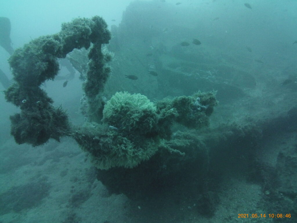 Tortuga Diving Vera Playa