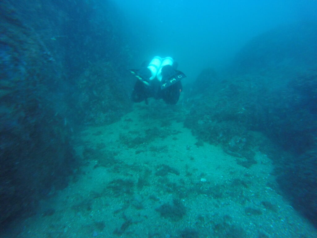 Tortuga Diving Vera Playa