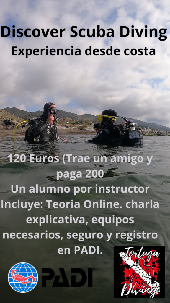 Tortuga Diving Vera Playa