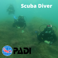 Scuba Diver (1)
