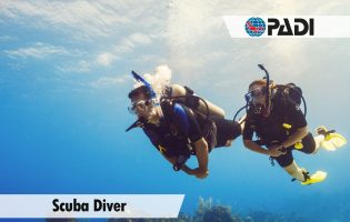 Scuba Diver Tortuga Diving Vera Playa